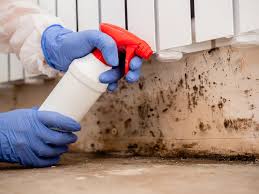 Best Comprehensive Air Testing for Mold Contaminants  in Bayou Country Clu, LA